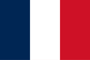 Flag_of_France.svg-300x200